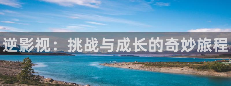 高清熊猫影视网站