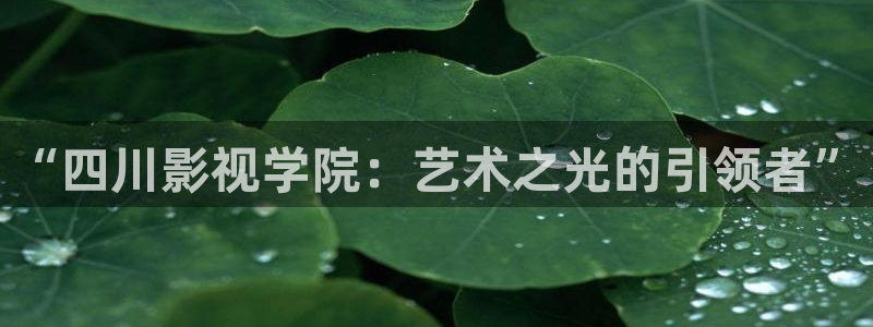 熊猫旅行