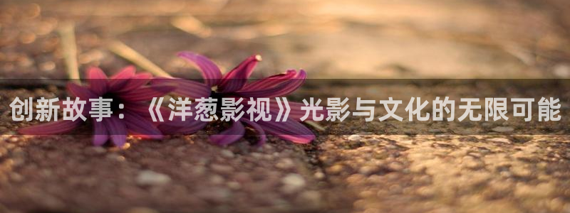 熊猫网络电视：创新故事：《洋葱影视》光影与文化的无限可能